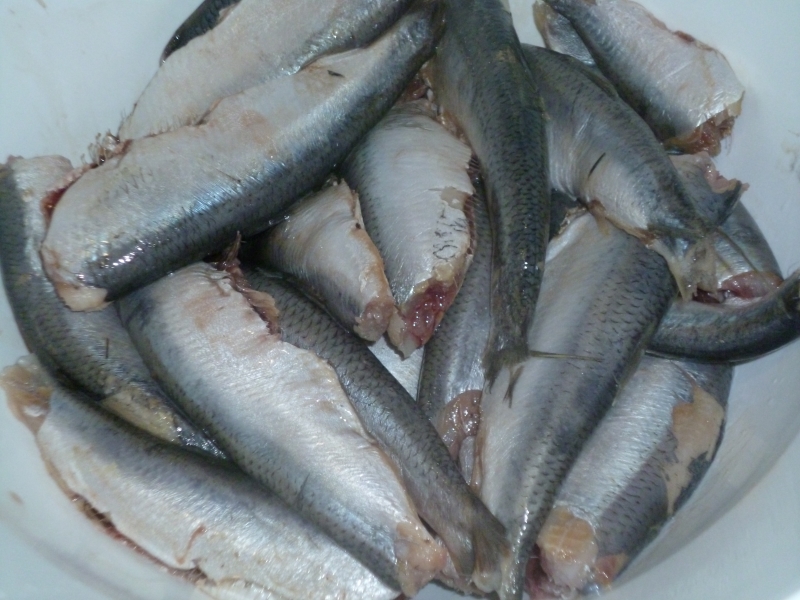 Могут ли рыбные консервы заменить рыбу?